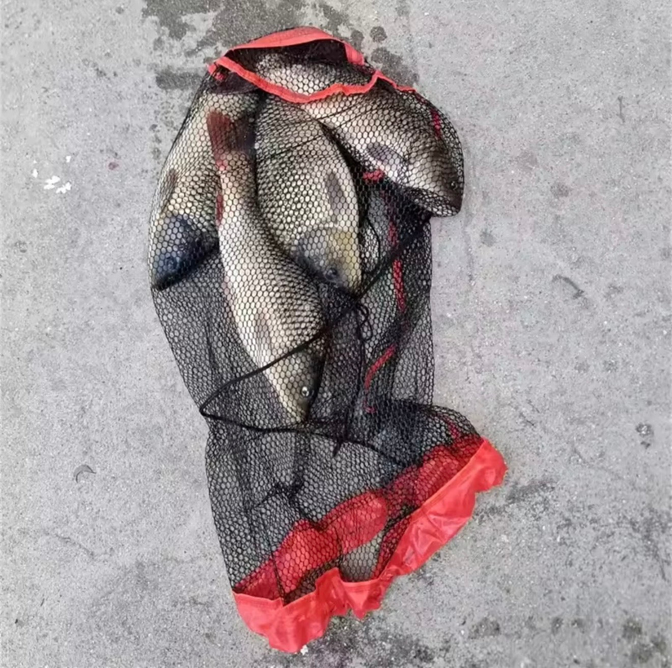 The Ultimate Encrypted Mesh Fishing Net